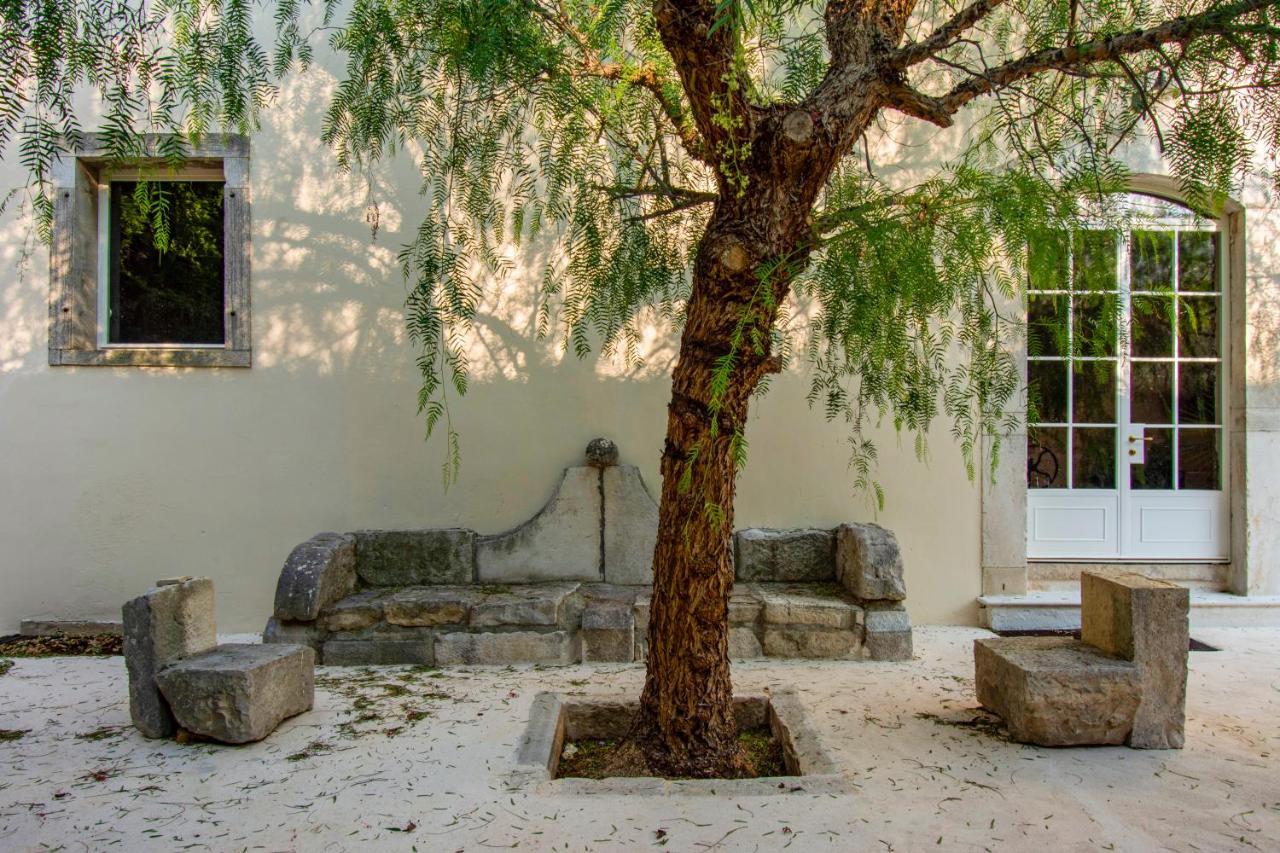 Villa Gioia Corato Esterno foto