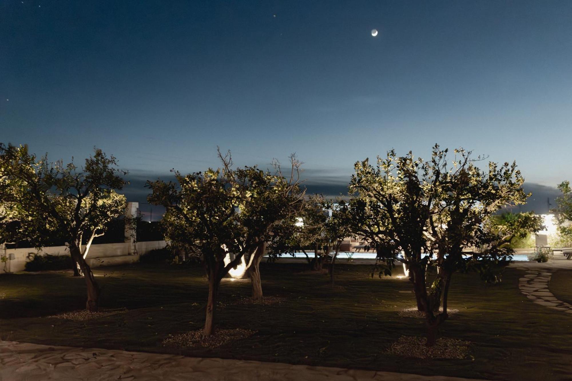 Villa Gioia Corato Esterno foto